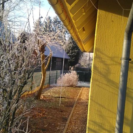 Gastehaus Allergrund Hotel Wienhausen Eksteriør billede